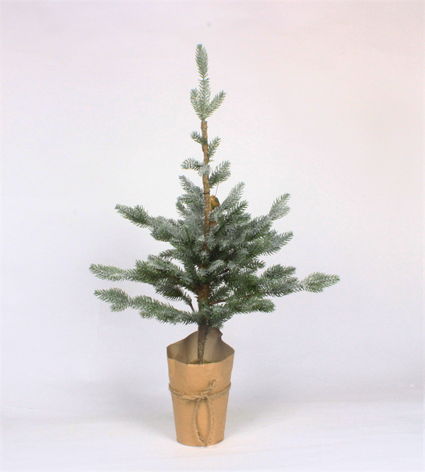 Árboles de cedro de Navidad para fiesta en casa