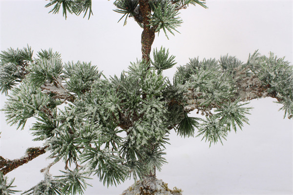 Decoración de mesa de árbol de Navidad