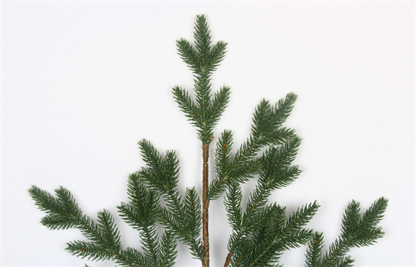 Artificial Branches for Xmas Tree.jpg