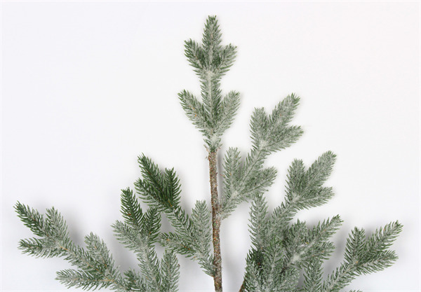 Branches for Decoration Tall Ice Finish.jpg